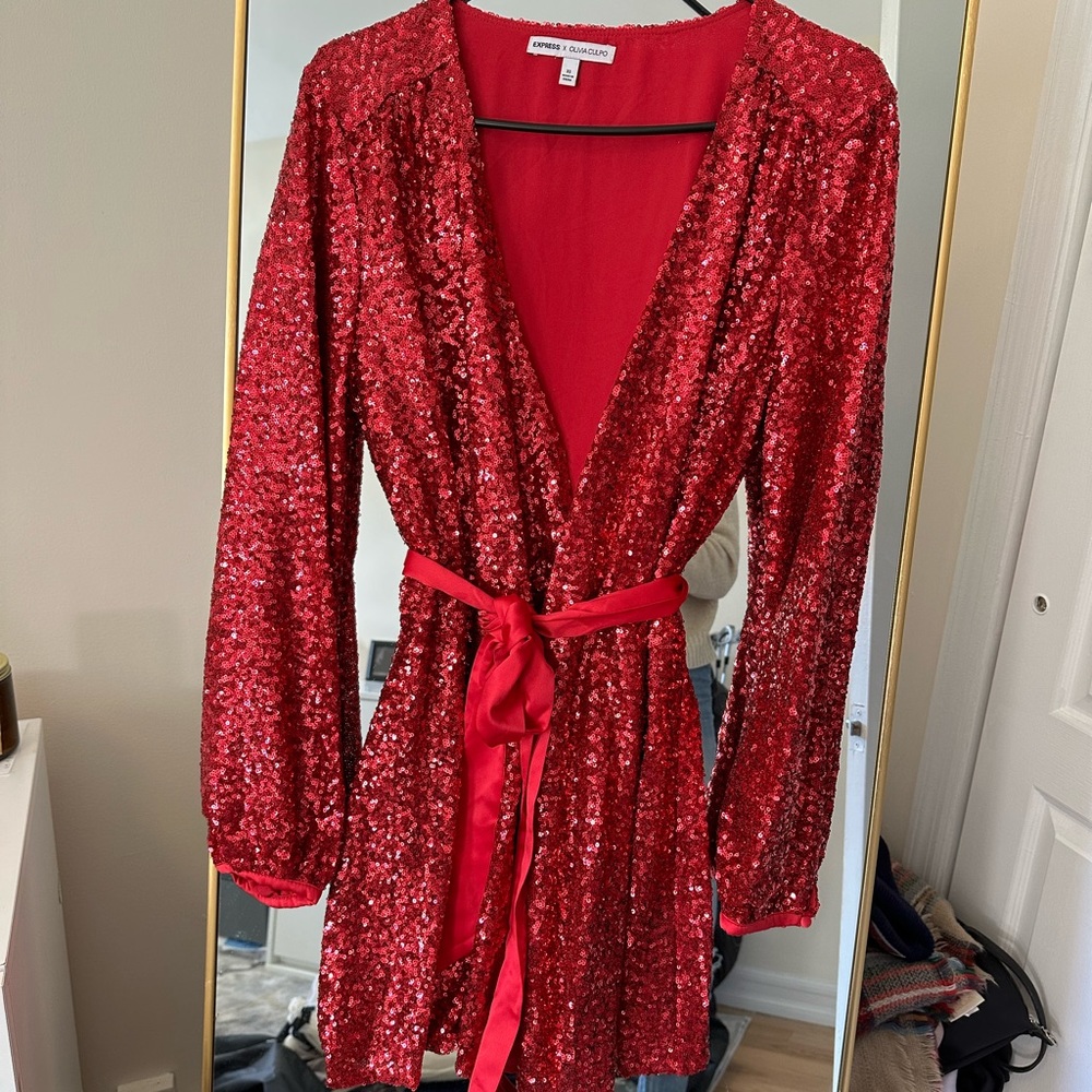 Express x Olivia Culpo Sequin Party Dress (XS)